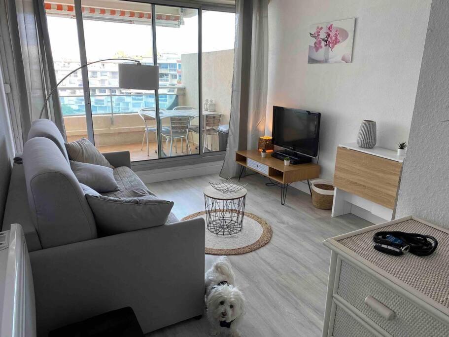 Joli Studio Vue Mer Et Port Mauguio Exteriör bild